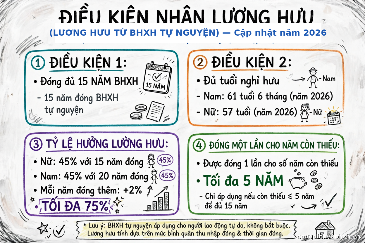 Infographic điều kiện hưởng lương hưu từ BHXH tự nguyện năm 2026
